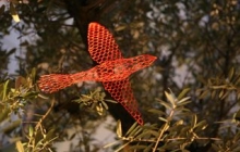 inaugurazioneimage-27